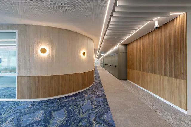 A curved corridor wall with a timber lower panel and round brass wall lights, opposite a fluted timber wall, leading to tall green-grey storage cabinets with a rounded end.
