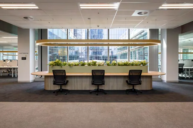 A long timber bench desk with rounded ends and a timber-clad base, a raised sage-green planter of leafy plants along its centre and three black task chairs, under an oval pendant light.